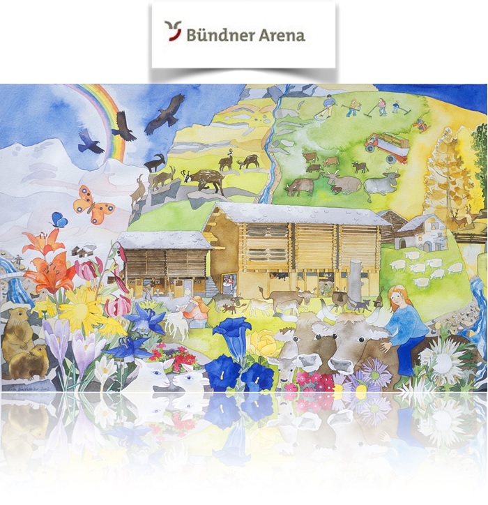 Bündner-Arena